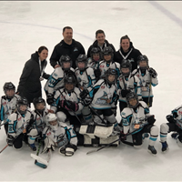 Novice B LLFHL Championship Weekend Bronze