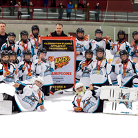 Clarington Gold Peewee A