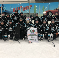 Senior A (Misketis) Gold in London