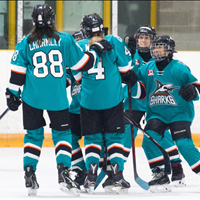 Peewee A Anniversary Jersey