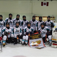 Clarington Gold Senior A Collins