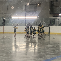 Titans 10U F Wins Gold in OT!