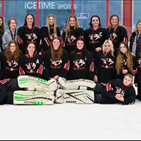 U19B AW Wildcats Bronze Medallists