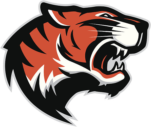 Minor National Tigers