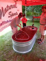 The Bass Derby holding tank