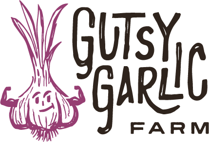 Gutsy Garlic - Purple