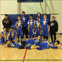 BB3: Gold Medal Division 3