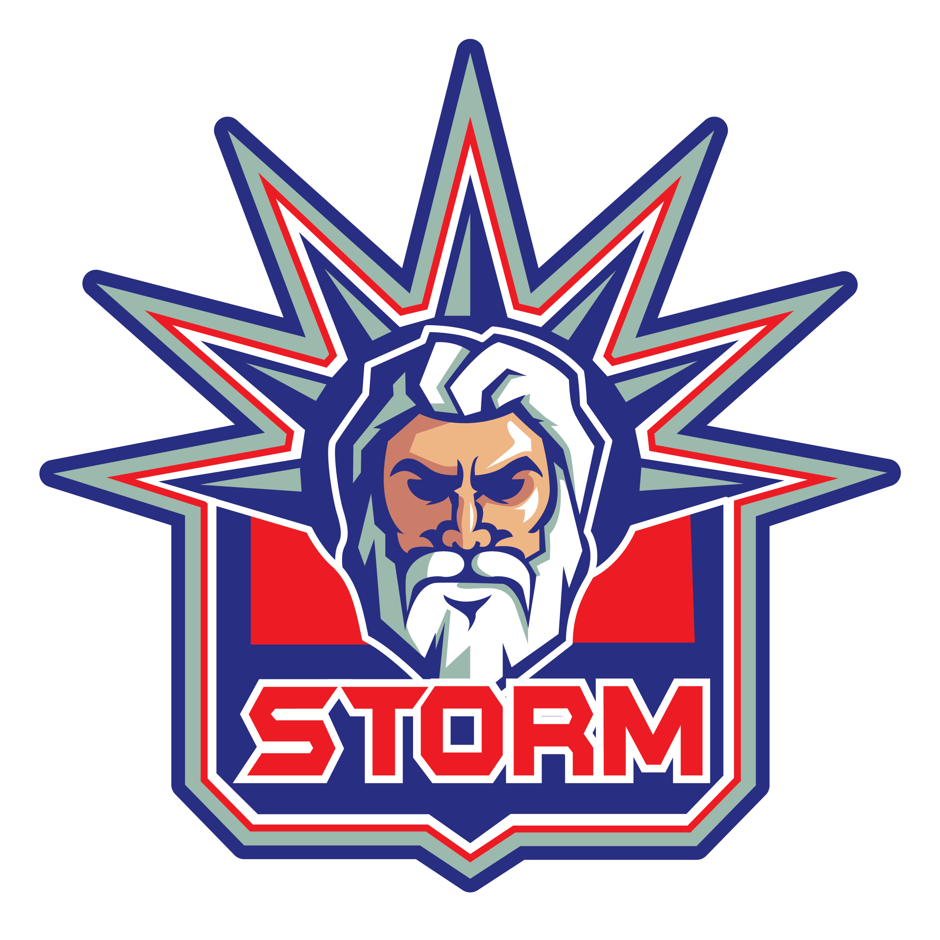 Kamloops Storm